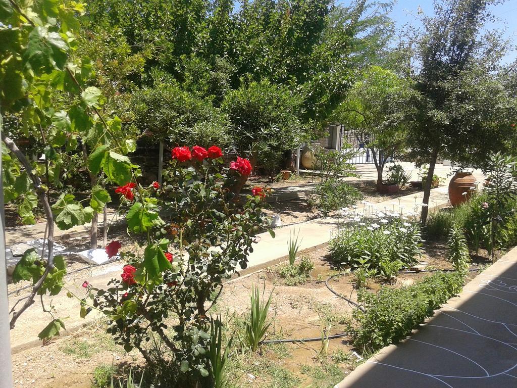 Apartament Aegean Harmony Platis Gialos  Zewnętrze zdjęcie