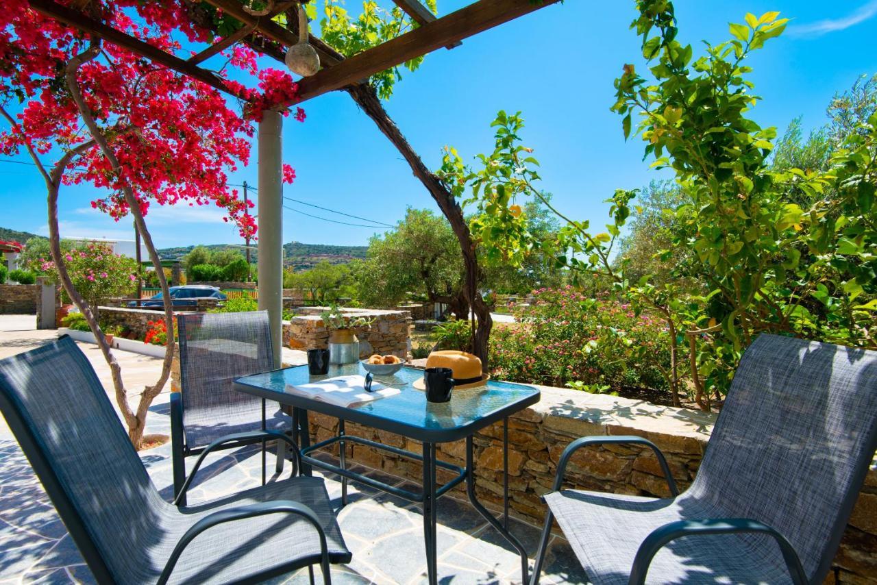 Apartament Aegean Harmony Platis Gialos  Zewnętrze zdjęcie
